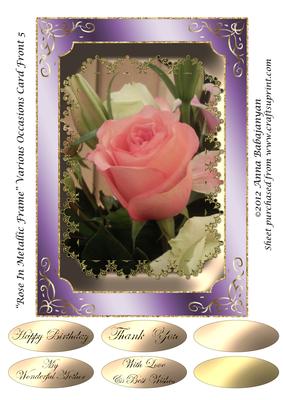 Rose in Metallic Frame Various Occasions Card Front 5