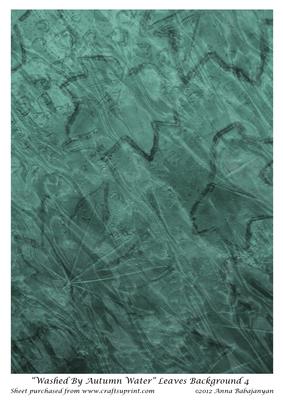 Washed by Autumn Water Leaves Background 4
