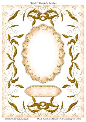 Tender Blank A4 Card 20