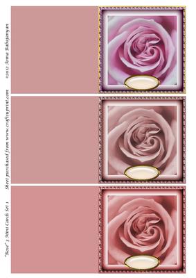 Rose 3 Mini Cards Set 1