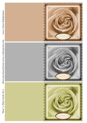 Rose 3 Mini Cards Set 3