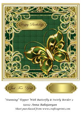 Stunning Topper with Butterfly & Swirly Border 2