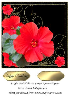 Bright Red Hibiscus Large Square Topper