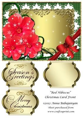 Red Hibiscus Christmas Card Front