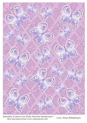 Butterflies & Flowers on Trellis Duo-tone Background 1