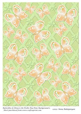 Butterflies & Flowers on Trellis Duo-tone Background 5