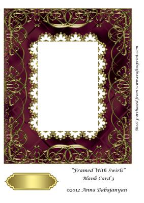 Framed with Swirls Blank Card 3