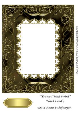 Framed with Swirls Blank Card 4