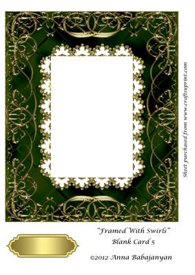 Framed with Swirls Blank Card 5