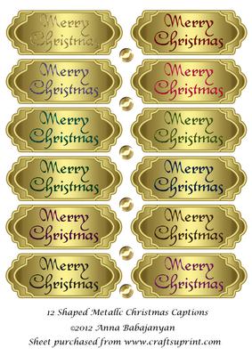 12 Shaped Metallic Christmas Captions