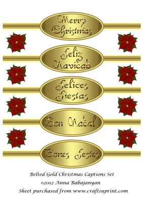 Belted Gold Christmas Captions Set