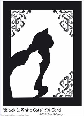 Black and White Cats A4 Card