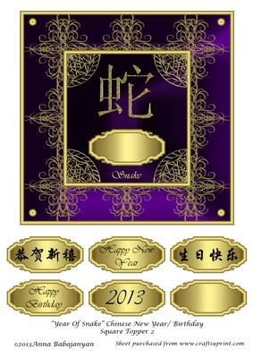 Year of Snake Chinese New Year/ Birthday Square Topper 2