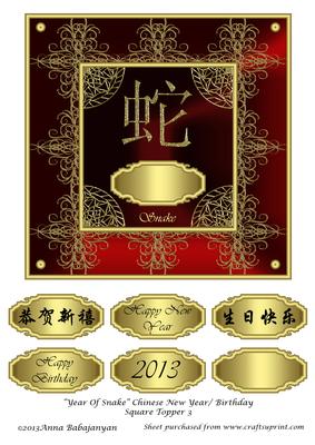 Year of Snake Chinese New Year/ Birthday Square Topper 3