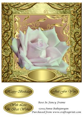 Rose in Fancy Frame