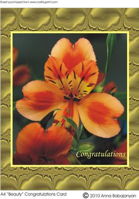A4 "beauty" Congratulations Card