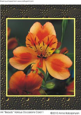 A4 "beauty" Various Occasions Card 1