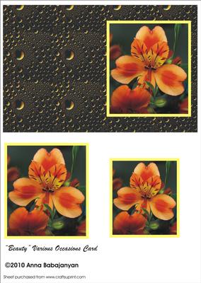 Beauty Various Occasions Card
