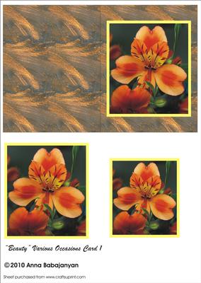 Beauty Various Occasions Card 1
