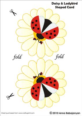 Daisy and Ladybird Shaped Card