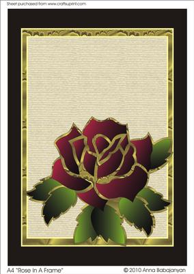 A4 "rose in a Frame"