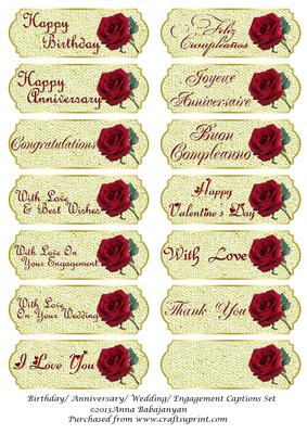 Birthday/ Anniversary/ Wedding/ Engagement Captions Set