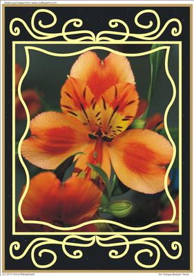 A4 "unique Beauty" Floral