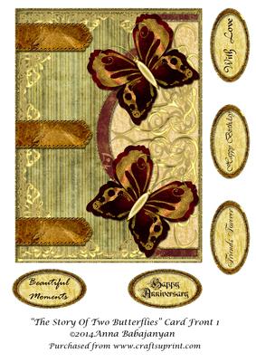 The Story of Two Butterflies Card Front 1