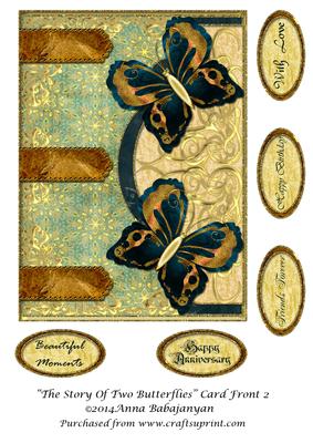 The Story of Two Butterflies Card Front 2