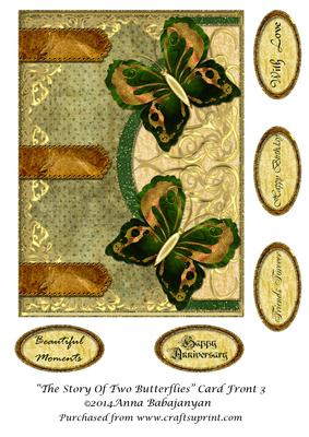 The Story of Two Butterflies Card Front 3