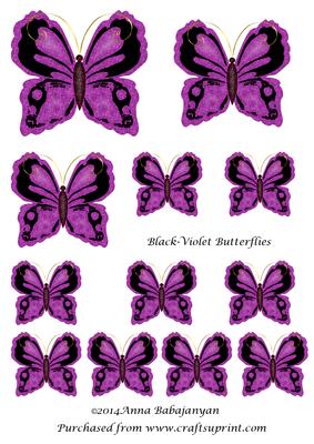 Black-violet Butterflies