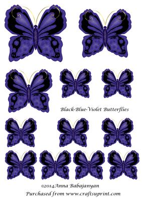 Black-blue-violet Butterflies