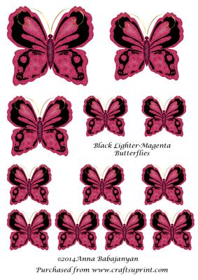 Black-lighter-magenta Butterflies