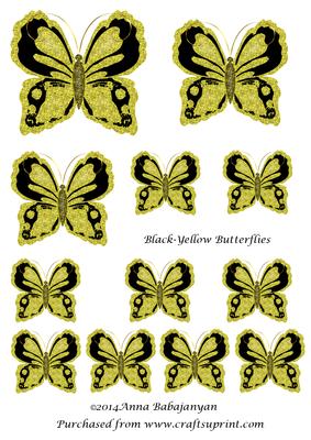 Black-yellow Butterflies