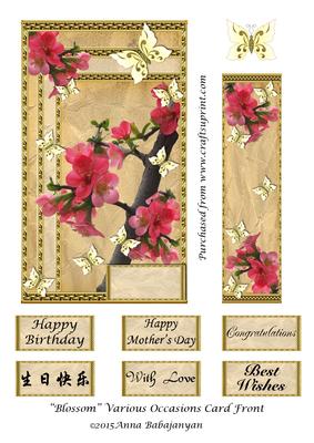 Blossom Various Occasions Card Front