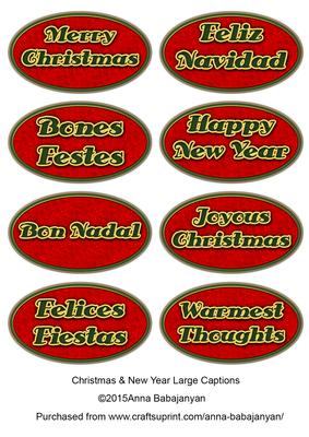 Christmas & New Year Large Captions