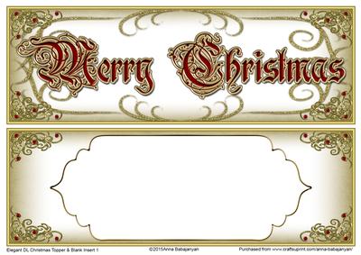 Elegant Dl Christmas Topper & Blank Insert 1