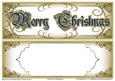 Elegant Dl Christmas Topper & Blank Insert 3