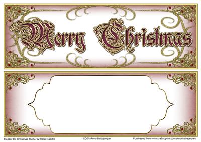 Elegant Dl Christmas Topper & Blank Insert 6
