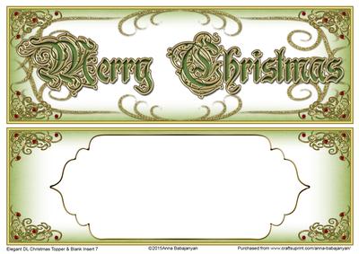 Elegant Dl Christmas Topper & Blank Insert 7