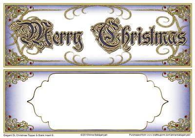 Elegant Dl Christmas Topper & Blank Insert 9