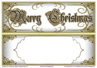 Elegant Dl Christmas Topper & Blank Insert 10