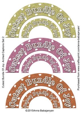 Cutest Bundle of Joy Arched Captions Set 2