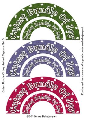 Cutest Bundle of Joy Arched Captions Set 5