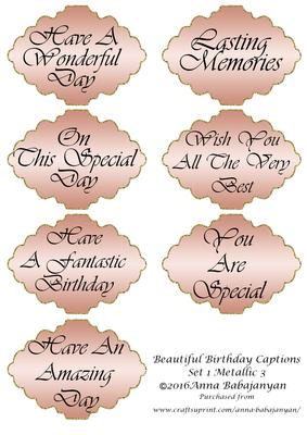 Beautiful Birthday Captions Set 1 Metallic 3