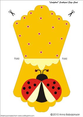 Ladybird Scalloped Edge Card