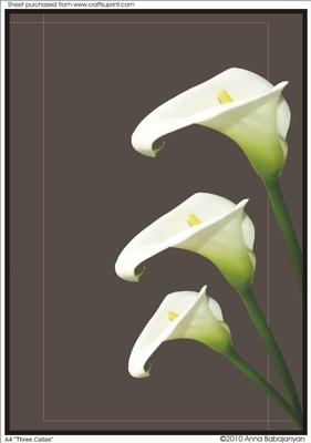 A4 "three Callas"