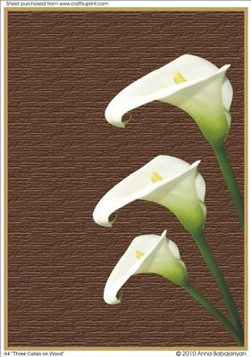 A4 "three Callas on Wood"