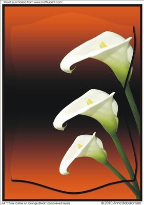 A4 "three Callas on Orange Black"(embossed Layer)