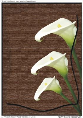 A4 "three Callas on Wood" (embossed Layer)